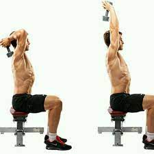 Seated tricep press adalah latihan yang menguatkan dan mengembangkan otot trisep brachii