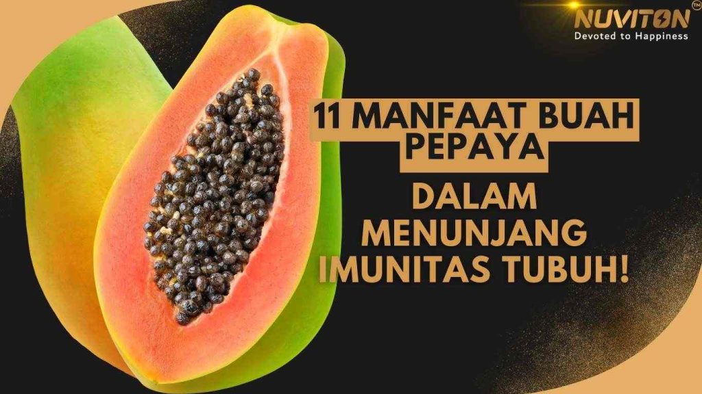 11 Manfaat Buah Pepaya Dalam Menunjang Imunitas Tubuh!