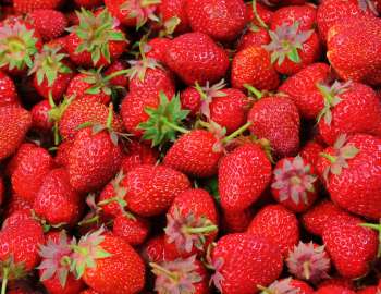 manfaat buah strawberry untuk kulit wajah