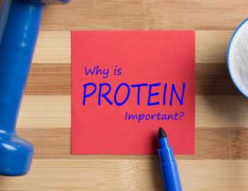 protein adalah salah satu dari tiga makronutrien yang dibutuhkan tubuh