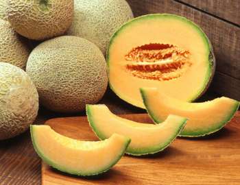 melon mengandung vitamin a dan c yang mendukung sistem imun tubuh