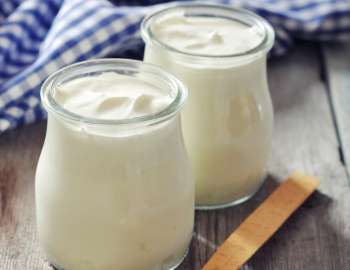 greek yogurt mengandung hampir dua kali lebih banyak protein