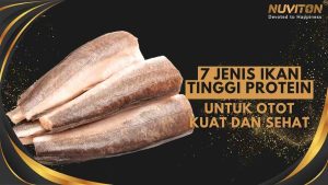 7 Jenis Ikan Tinggi Protein Untuk Otot Kuat Dan Sehat