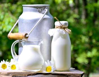 Susu dan produk olahannya, sumber protein hewani seperti keju dan yogurt