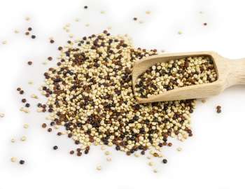 quinoa sumber protein, serat dan vitamin