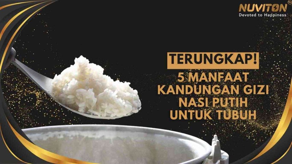 Terungkap! 5 Manfaat Kandungan Gizi Nasi Putih Untuk Tubuh