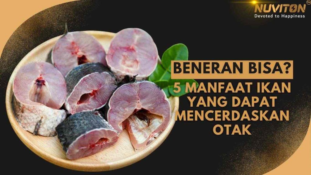 Beneran Bisa? 5 Manfaat Ikan Yang Dapat Mencerdaskan Otak