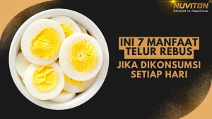 Ini 7 Manfaat Telur Rebus Jika Dikonsumsi Setiap Hari