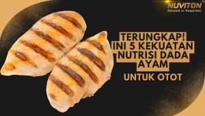 Terungkap! Ini 5 Kekuatan Nutrisi Dada Ayam Untuk Otot