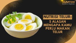 Nutrisi Telur: 5 Alasan Mengapa Kamu Perlu Makan Telur