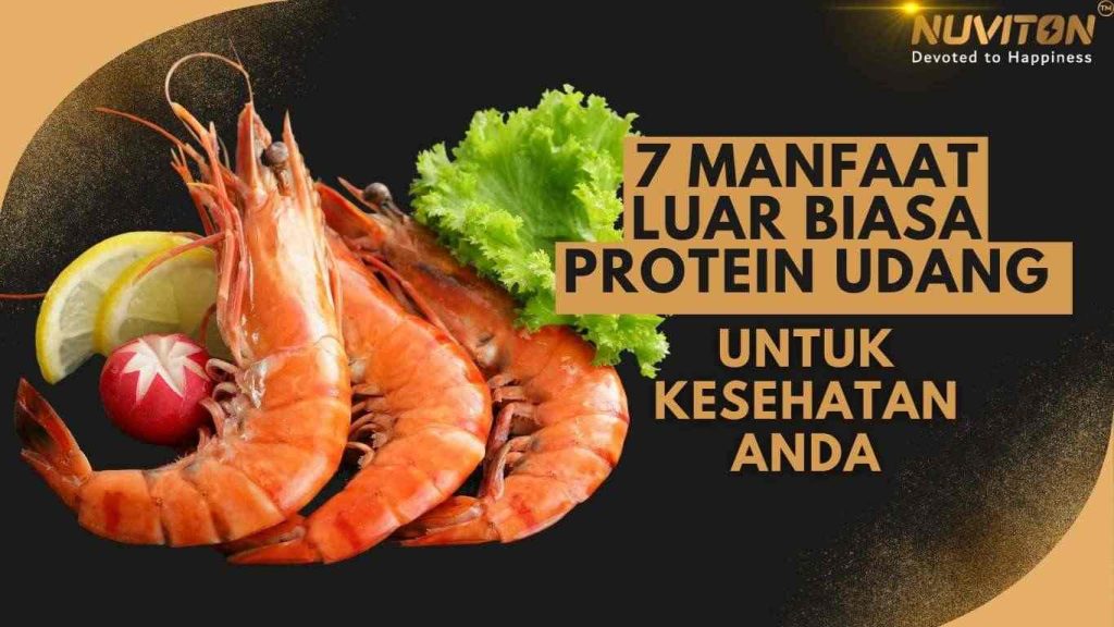 7 Manfaat Luar Biasa Protein Udang Untuk Kesehatan Anda