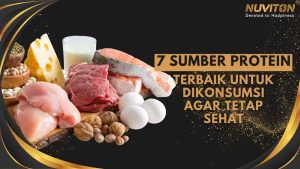 7 Sumber Protein Terbaik Untuk Dikonsumsi Agar Tetap Sehat