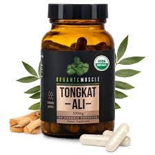 Produk organic muscle tongkat ali 