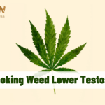 does smoking weed lower testosterone